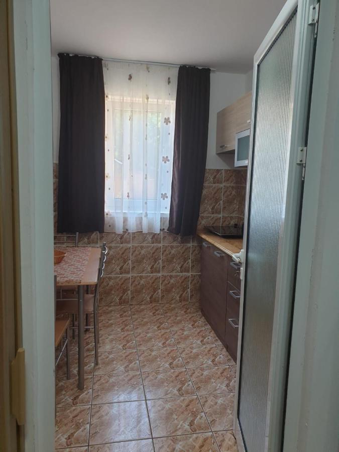 Cazare Apartament Cu 2 Camere 内霍瓦 外观 照片